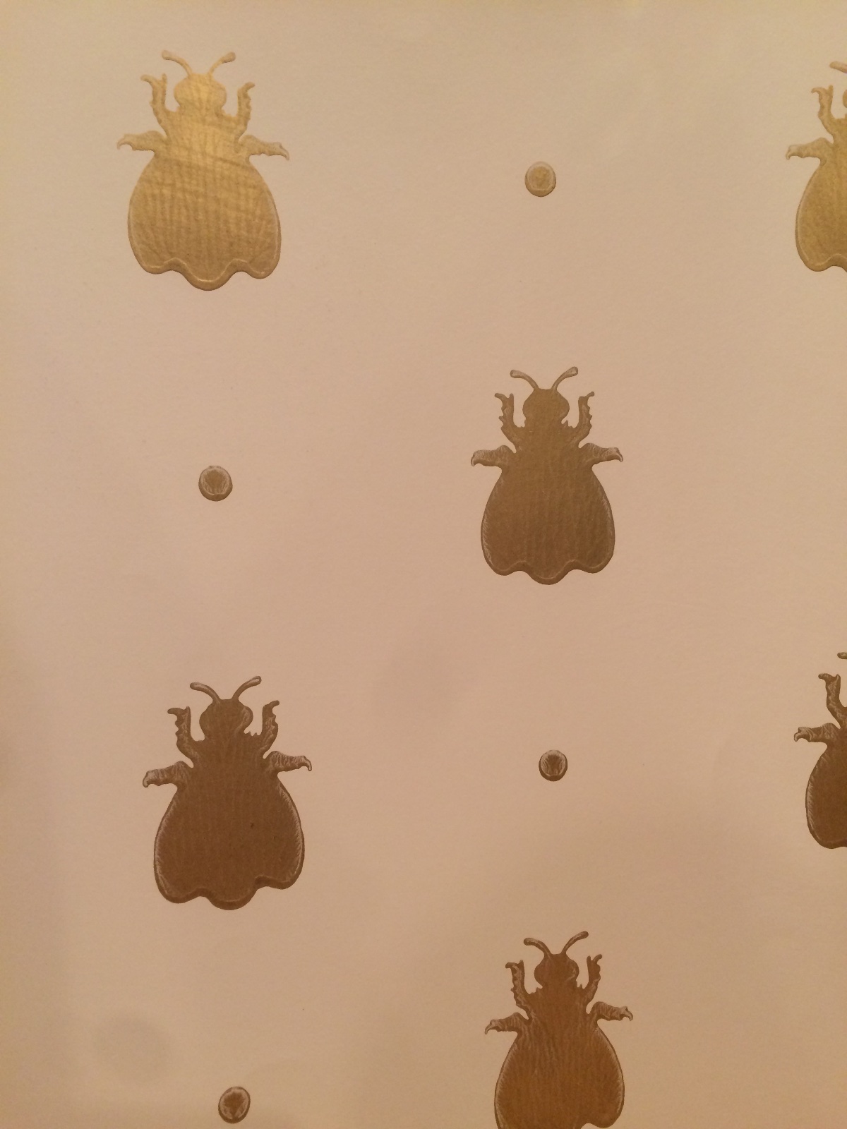 幸福を呼ぶ蜂 Bumble Bee カラーワークス神戸 Farrow Ball ペンキ 壁紙